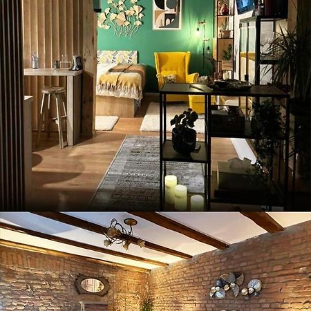 Făgăraş Studio Rezistenta מראה חיצוני תמונה