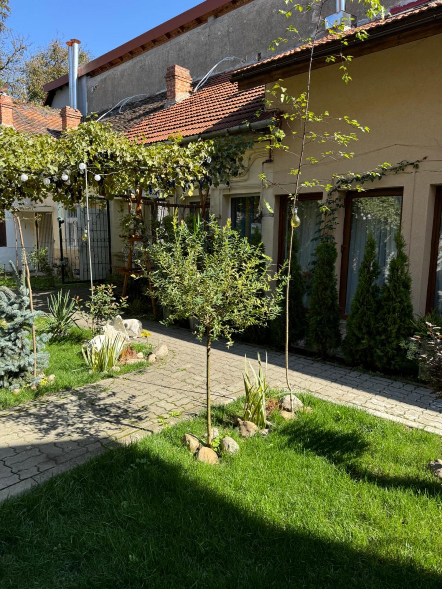 Făgăraş Studio Rezistenta מראה חיצוני תמונה